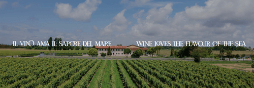 Valpanera Il Vino Ama Il Sapore Del Mare